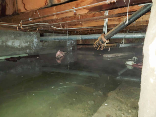 Best Basement water damage restoration  in Snoqualmie, WA