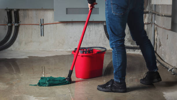 Best Water damage restoration experts  in Snoqualmie, WA