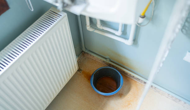Best Flood restoration services  in Snoqualmie, WA