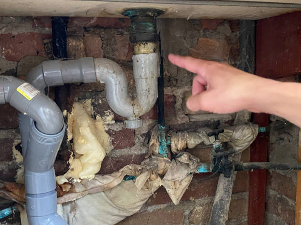 Best Flood damage cleanup  in Snoqualmie, WA