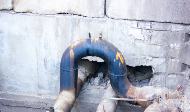 Best Mold removal after water damage  in Snoqualmie, WA